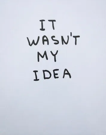 复数作品 Shrigley - It Wasn't My Idea