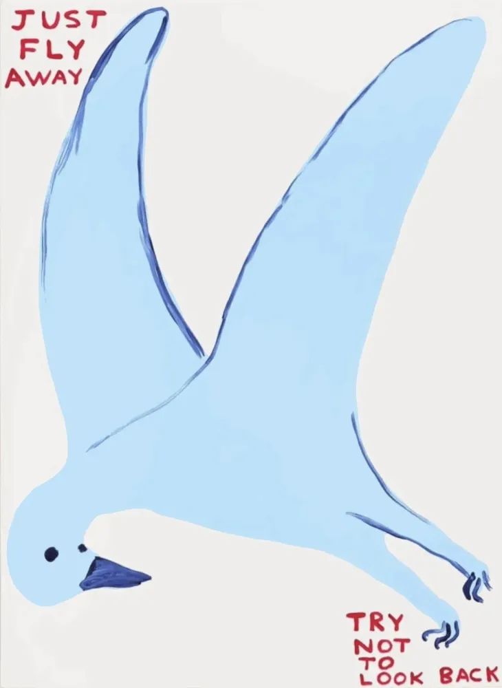 丝网印刷 Shrigley - Just fly away