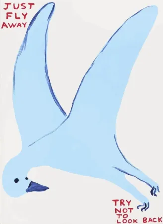 丝网印刷 Shrigley - Just fly away