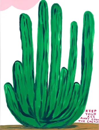 丝网印刷 Shrigley - Keep Your Ass Away from The Cactus