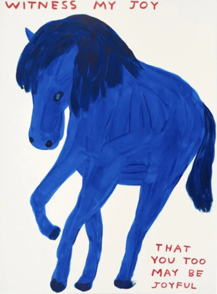 丝网印刷 Shrigley - Witness My Joy