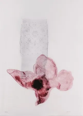 石版画 Sicilia - Composición (Flor)