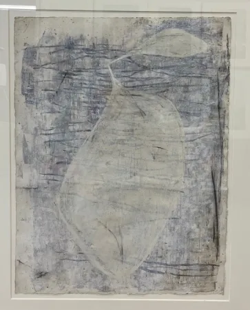 无技术 Sicilia - Flor Blanca