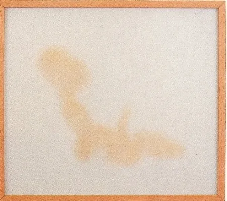 复数作品 Sicilia - Sans titre 2