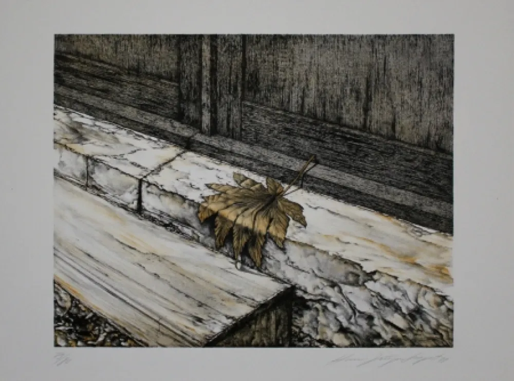 石版画 Siegert - Ahornblatt / Maple Leaf