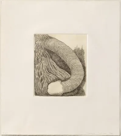 版画 Siena - Membre