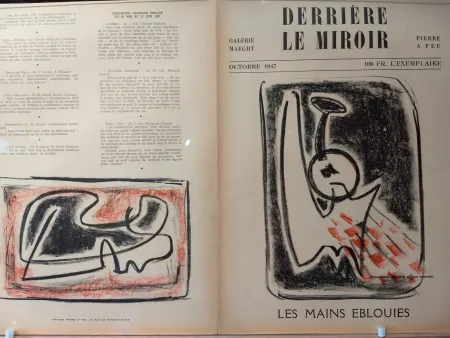 插图书 Signovert - DLM no5