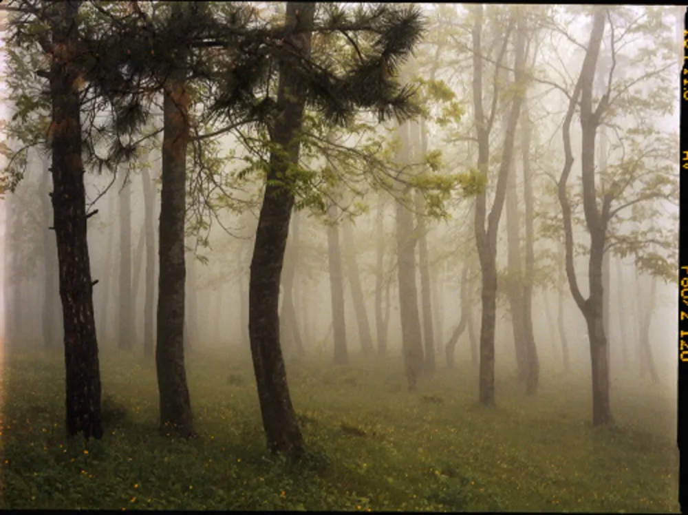 摄影 Sitchinava - Upslope Fog in May 3