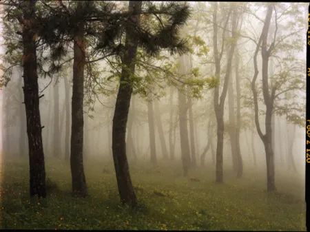 摄影 Sitchinava - Upslope Fog in May 3