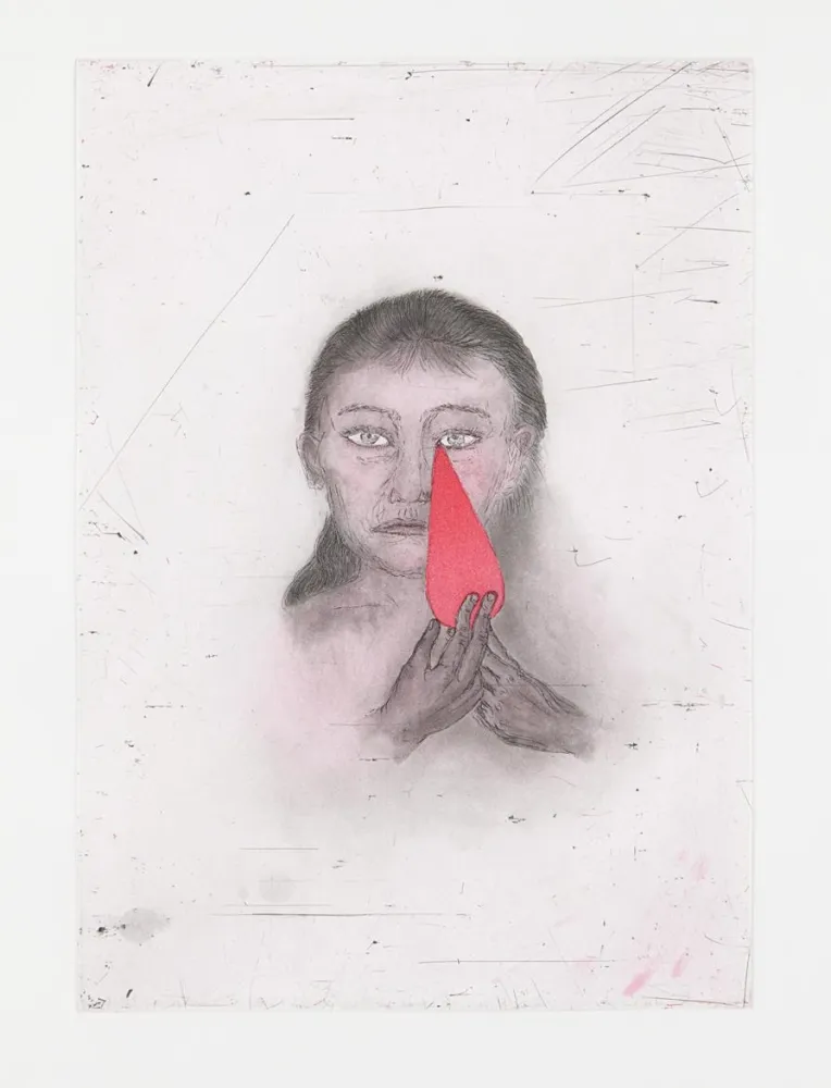 蚀刻飞尘法 Smith - Josephine