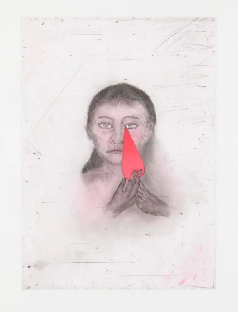 蚀刻飞尘法 Smith - Josephine