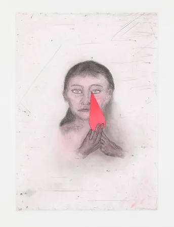 蚀刻飞尘法 Smith - Josephine