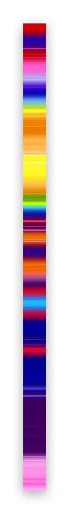 摄影 Snell - Lumina # 202101 