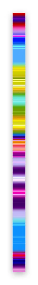 摄影 Snell - Lumina # 202103