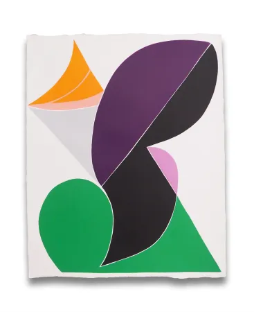 无技术 Snow - Finite Field