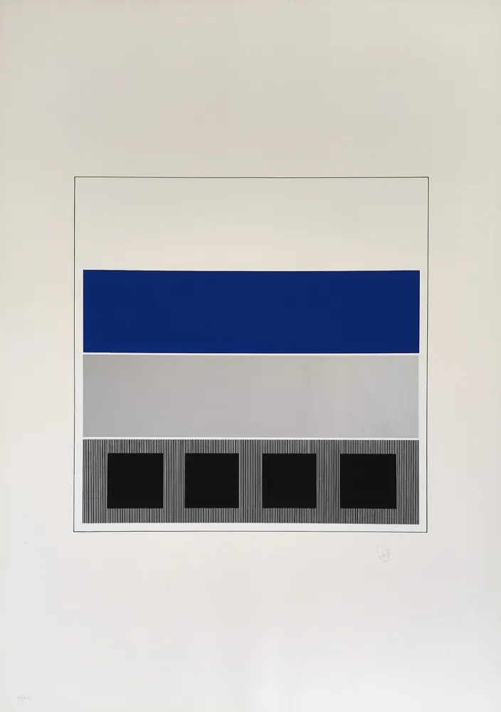 丝网印刷 Soto - Caroni