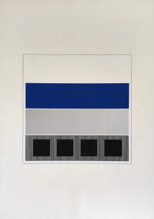 丝网印刷 Soto - Caroni