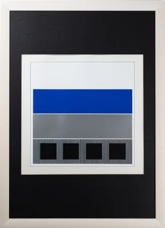 丝网印刷 Soto - Caroni