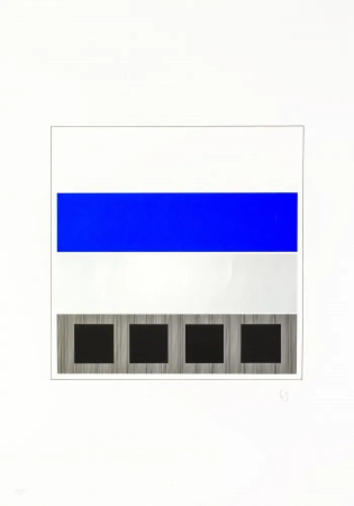 丝网印刷 Soto - Caroni