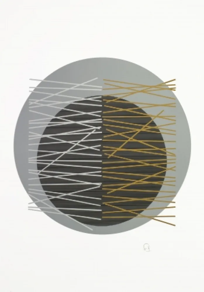 丝网印刷 Soto - Caroni 