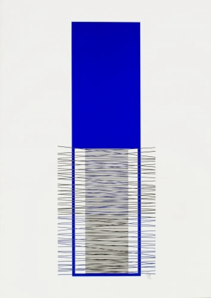 丝网印刷 Soto - Caroni (Blue) 