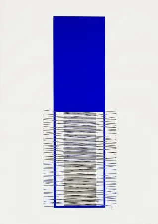 丝网印刷 Soto - Caroni (Blue) 