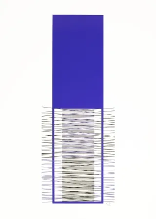 丝网印刷 Soto - Caroni (Purple) 