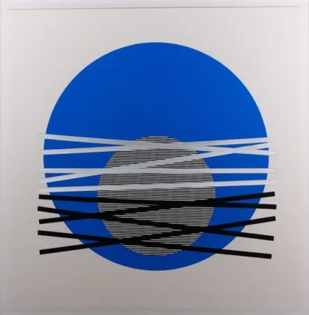 丝网印刷 Soto - Composición