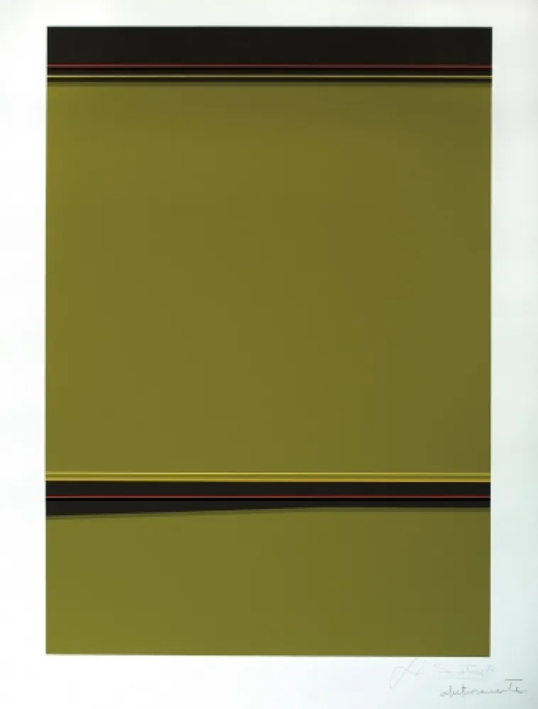 丝网印刷 Soto - Composición