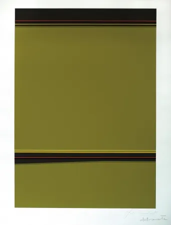 丝网印刷 Soto - Composición