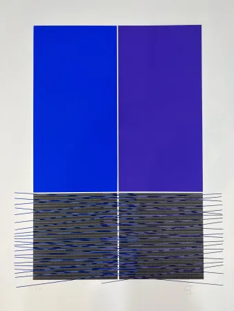 丝网印刷 Soto - Composition