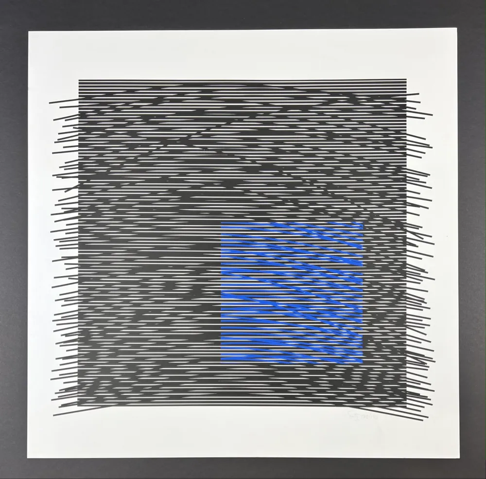 丝网印刷 Soto - Composition