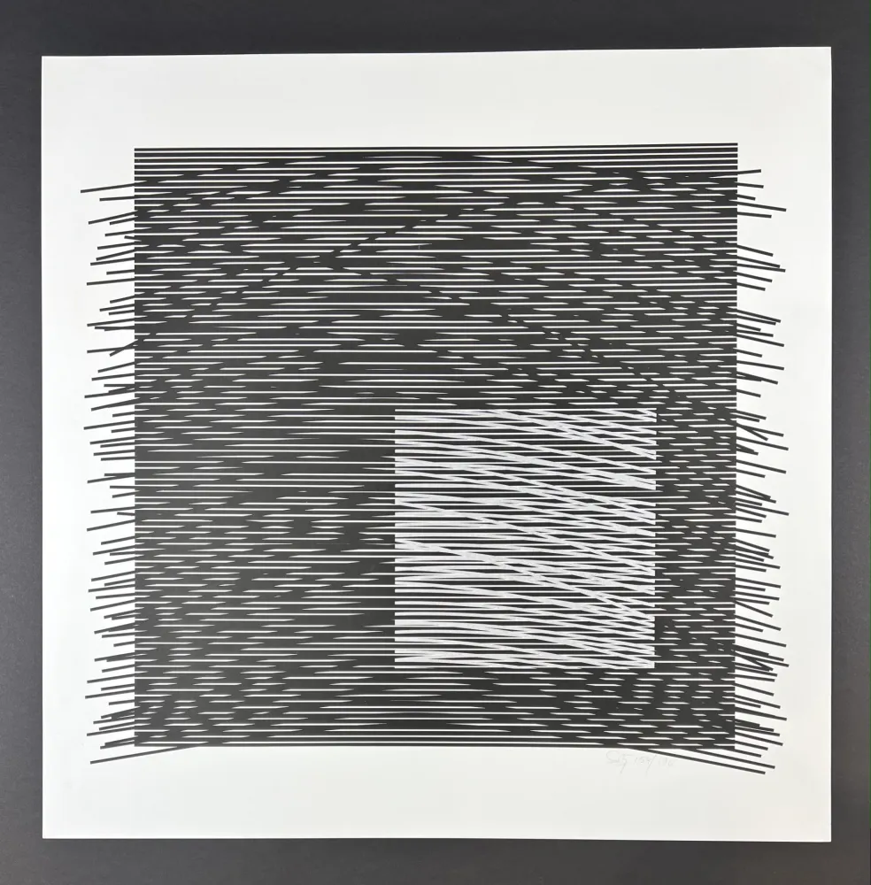 丝网印刷 Soto - Composition