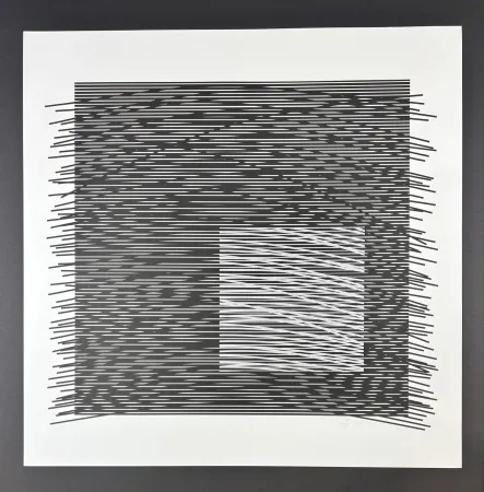 丝网印刷 Soto - Composition