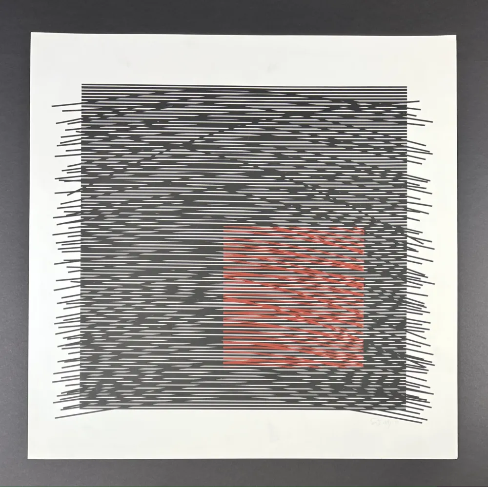 丝网印刷 Soto - Composition