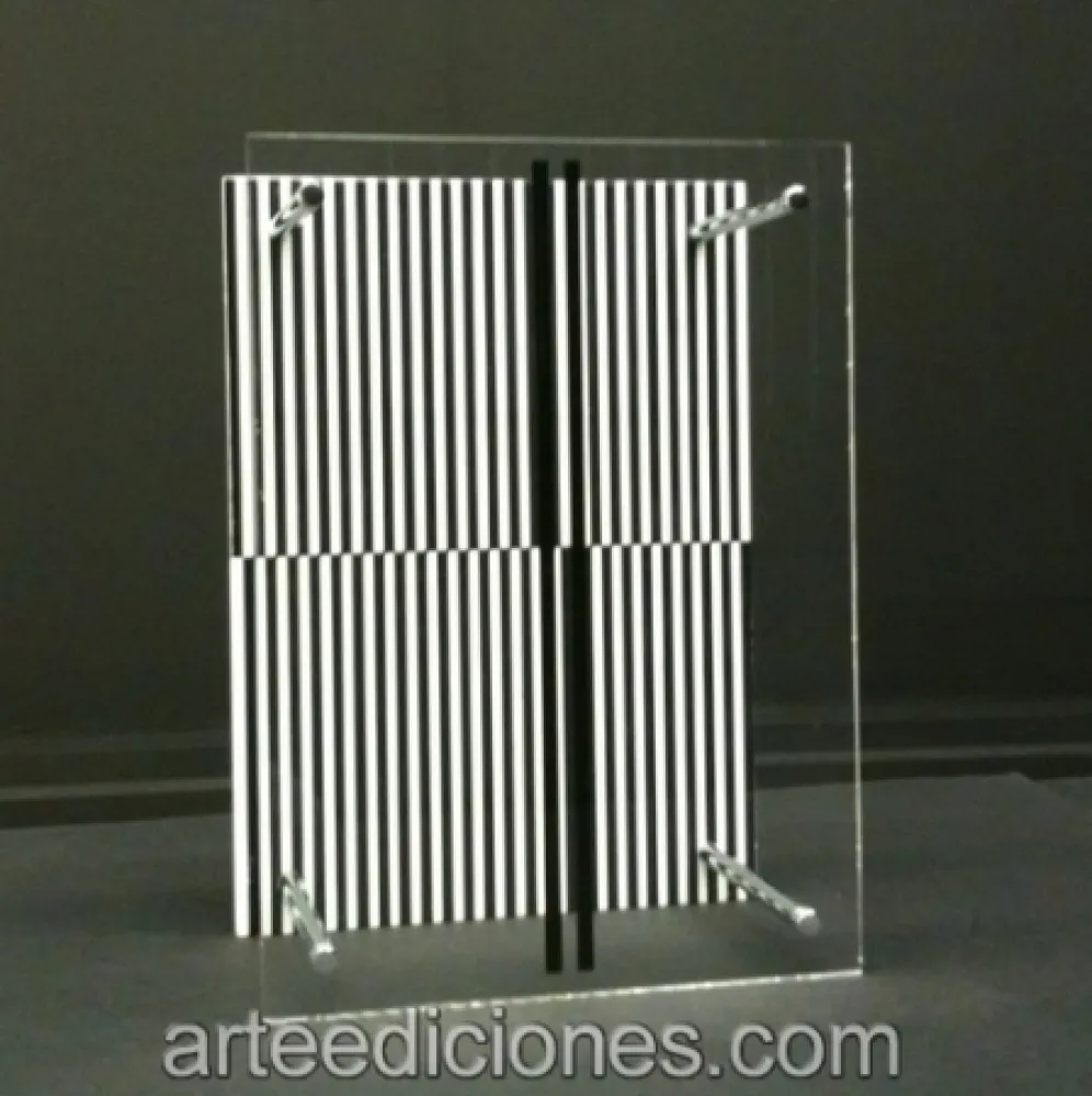 无技术 Soto - Museo Moltiplicato / Permutation