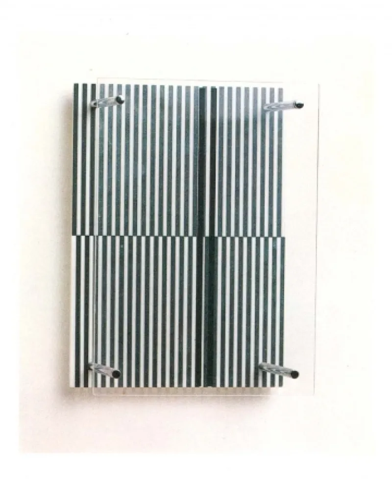 复数作品 Soto - Permutacion