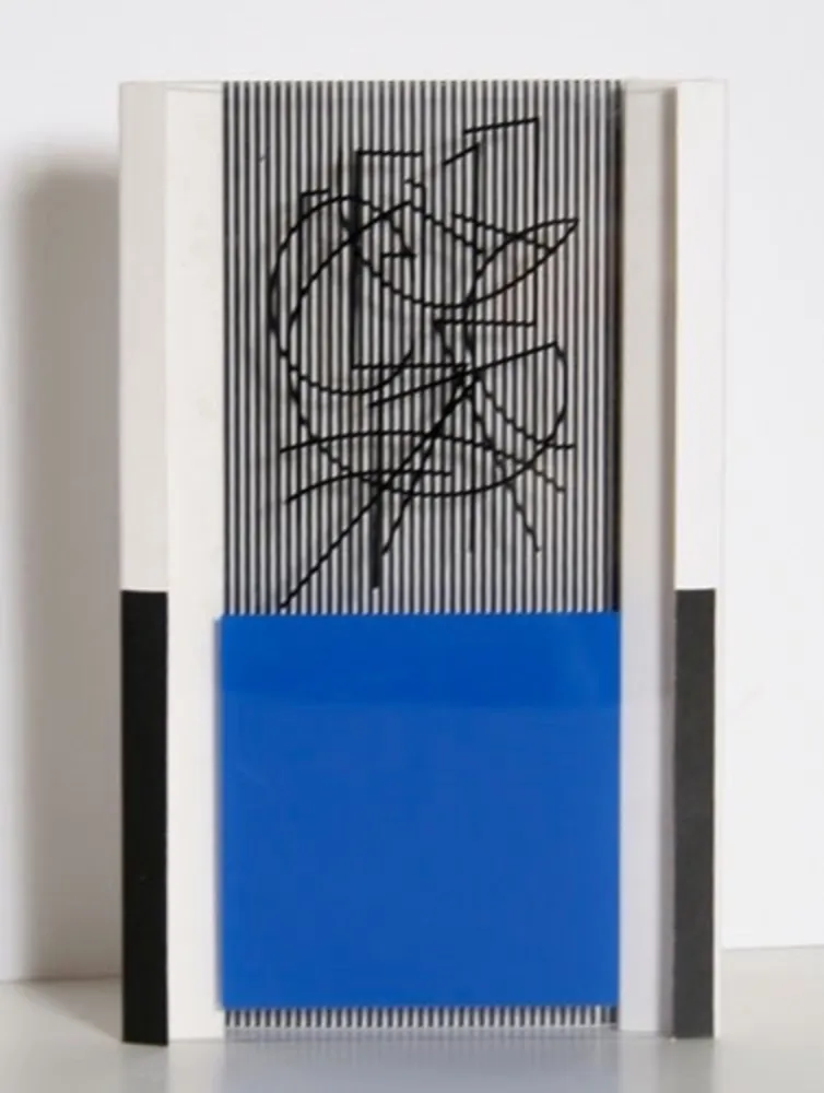 复数作品 Soto - Sans Titre