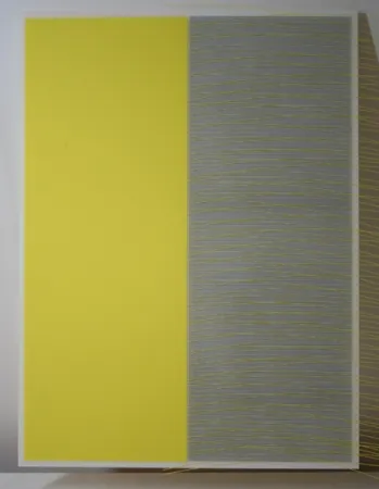 丝网印刷 Soto - Screen Print A