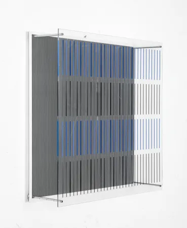 复数作品 Soto - Tes Azules Y Negras