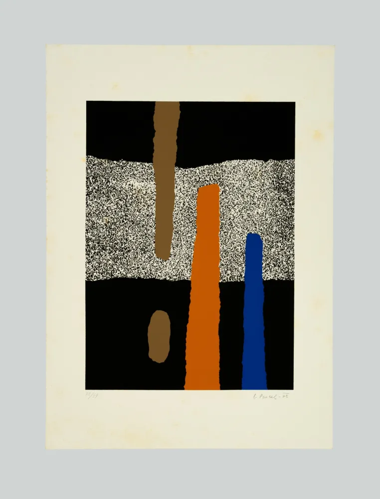 丝网印刷 Spacal - Composizione