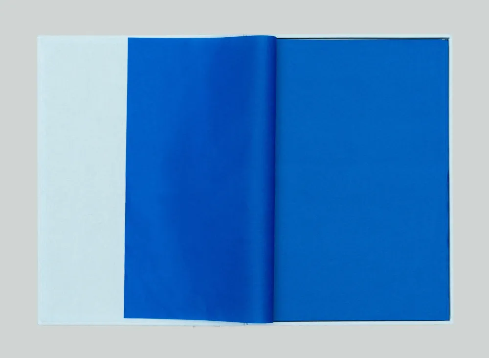 复数作品 Spalletti - Senza titolo