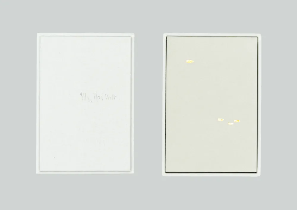 复数作品 Spalletti - Senza titolo