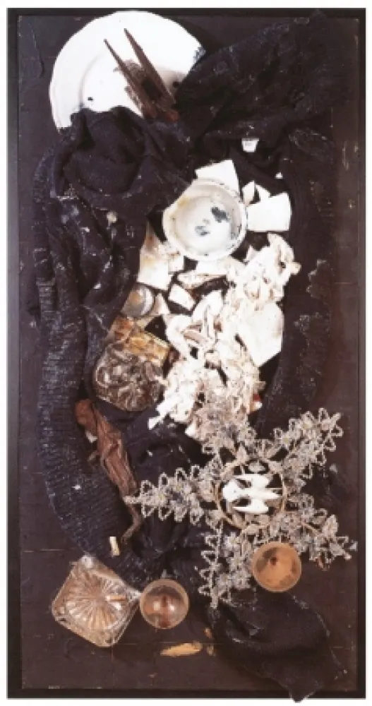 无技术 Spoerri - Büsser-Jacke als Vogelfrass