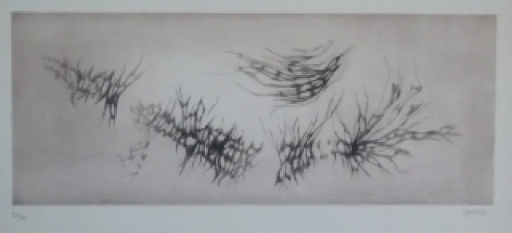 蚀刻飞尘法 Springer - Racines