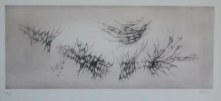 蚀刻飞尘法 Springer - Racines