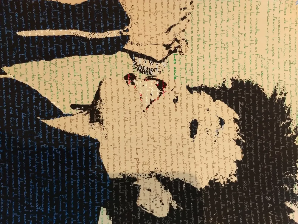 摄影 Stefanakis - Dee Dee Bridgewater2