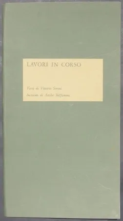 插图书 Steffanoni - Lavori in corso