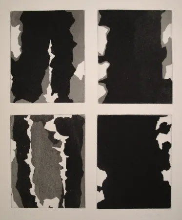 飞尘腐蚀法 Stein - Ohne Titel