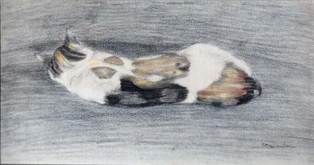 石版画 Steinlen - Chats et Autres Bêtes